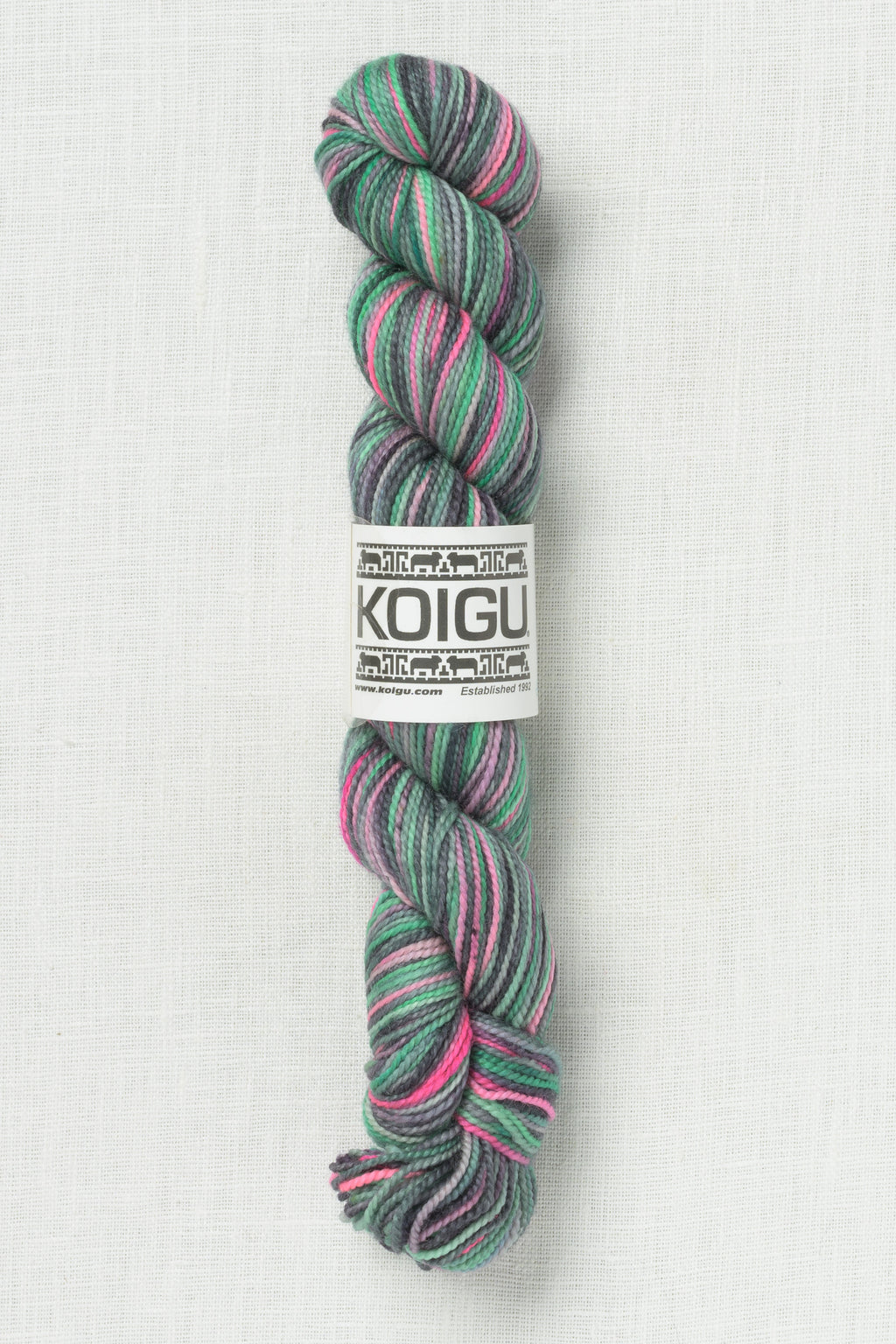 Koigu Painter's Palette Premium Merino KPPPM P040