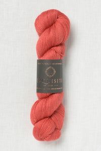 WYS Exquisite 4 Ply 1131 Bloomsbury