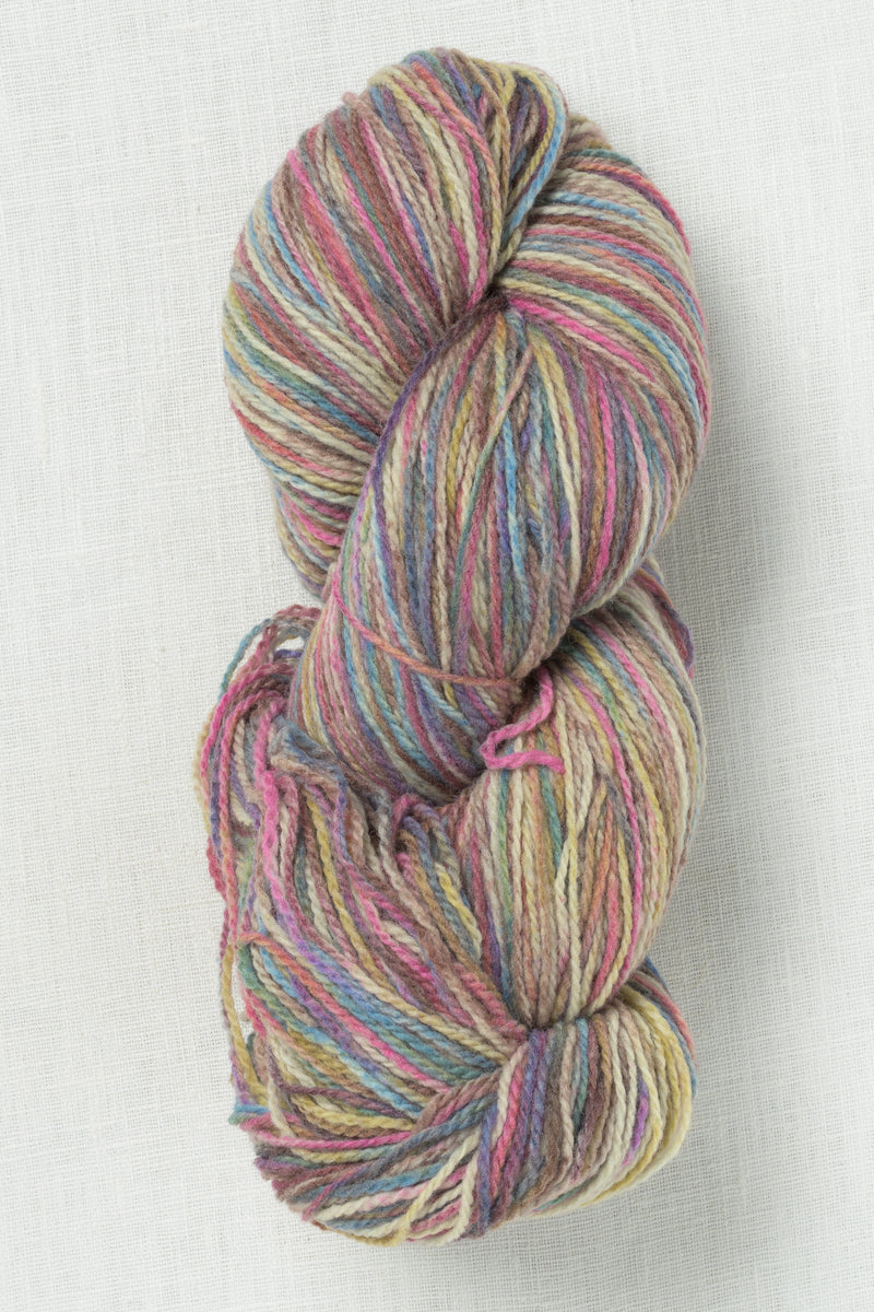 Juniper Moon Patagonia Organic Merino Hand Paints 1019 Mountain Top