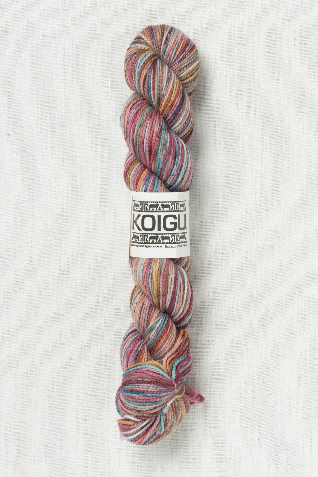 Koigu Painter's Palette Premium Merino KPPPM P085