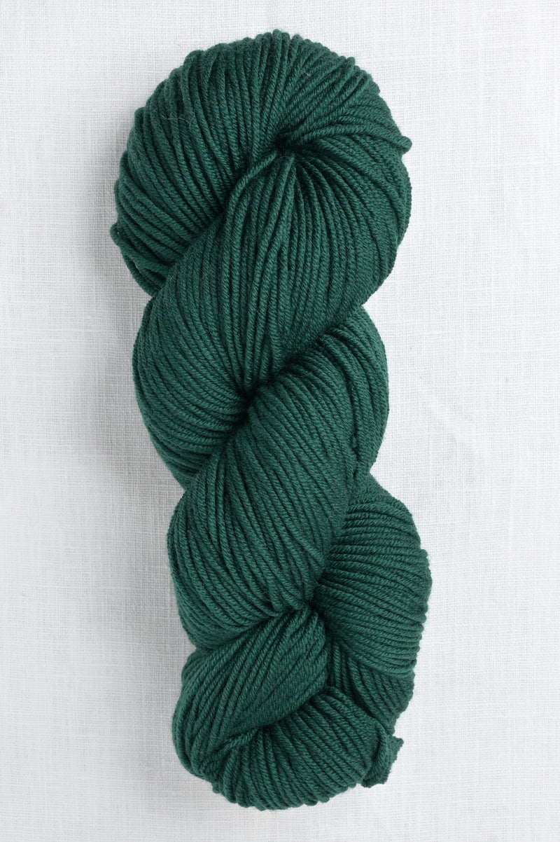 Plymouth Superwash Worsted 4 Green