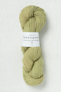 Fyberspates Vivacious Botanical DK 873 Lichen