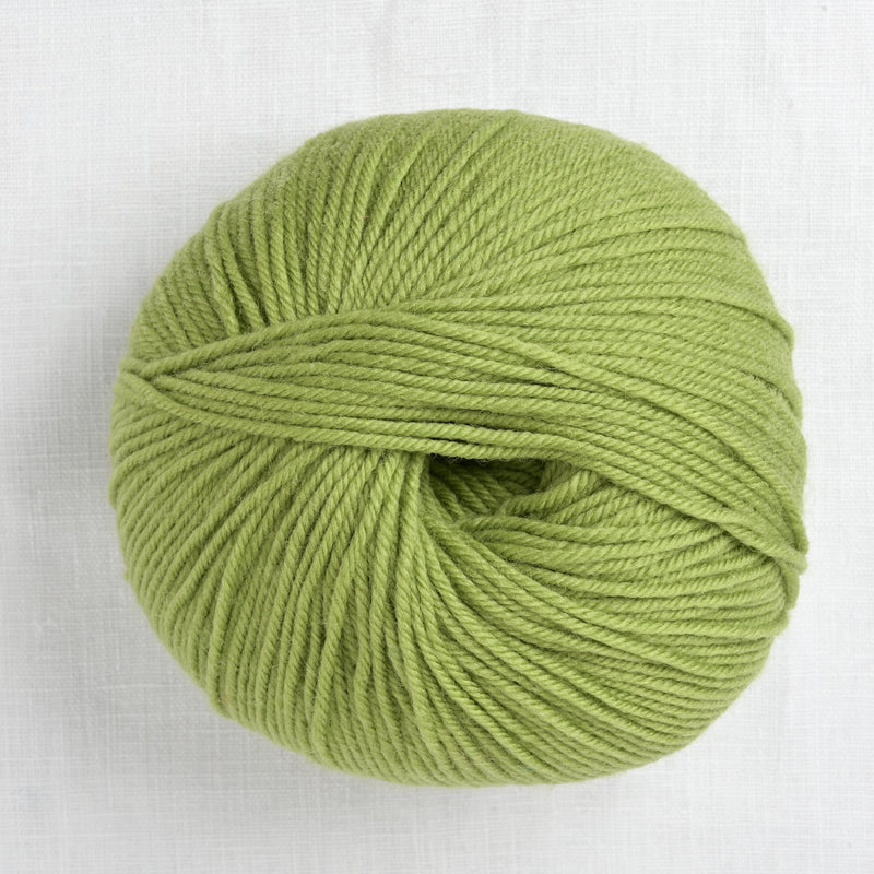 Cascade 220 Superwash 286 Peridot