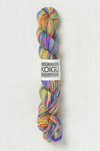 Koigu Painter's Palette Premium Merino KPPPM P057