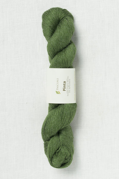 Pascuali Pinta 107 Olive