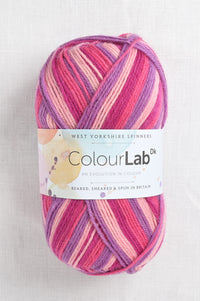 WYS ColourLab DK 893 Summer Pinks