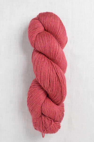 Amano Puna Traceable 4103 Raspberry